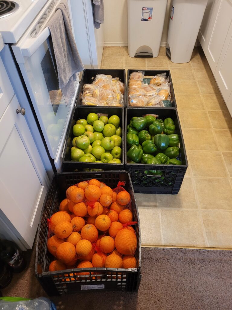 This image has an empty alt attribute; its file name is 20240503_111527-768x1024.jpg